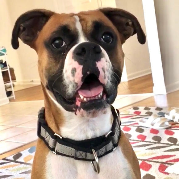 Meet your Posher, Sara - Picture 3 of 4